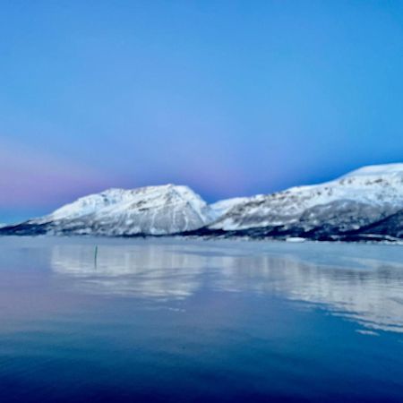 Вилла Manndalen Sjobuer Samuelsberg Экстерьер фото