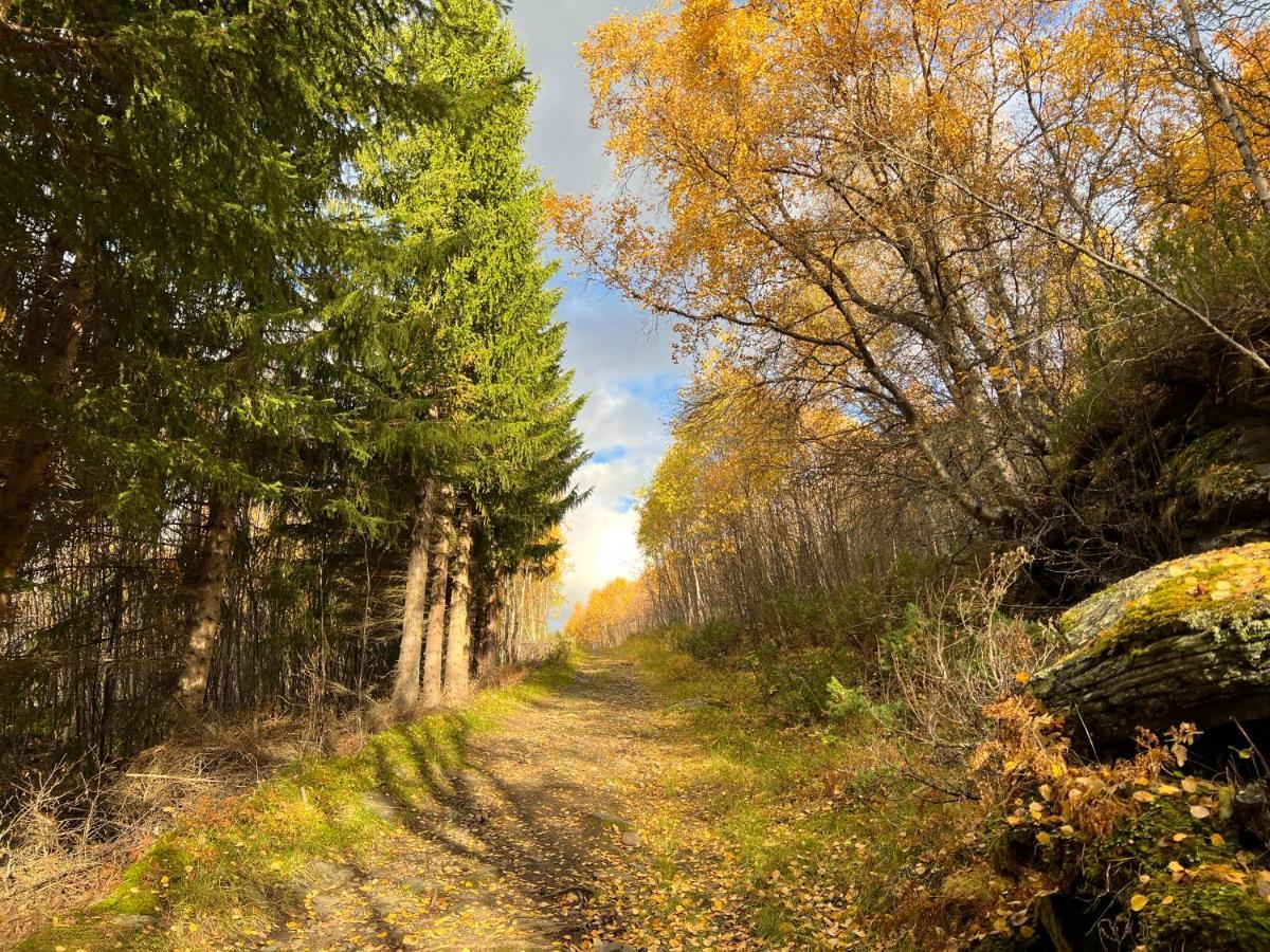 Вилла Manndalen Sjobuer Samuelsberg Экстерьер фото